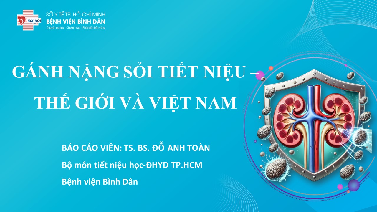 GANH-NẶNG-SỎI-TIẾT-NIỆU-THẾ-GIỚI-VA-VIỆT-NAMn-TS.BS.ĐỖ-ANH-TOAN