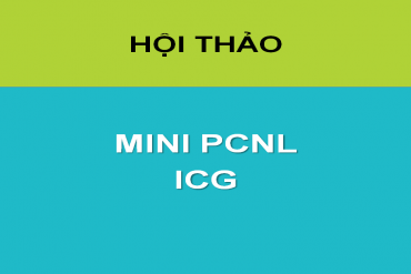 HỘI THẢO: Lấy 79.King chung kết World Cup 2026 qua da đường hầm nhỏ/79King dạng nhập nội soi cắt một phần thận dùng ICG