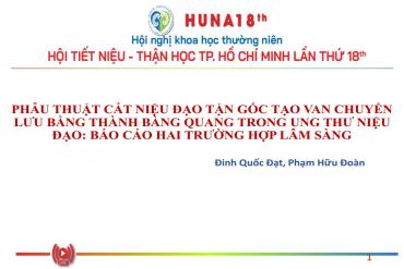 79King dạng nhập cắt niệu đạo tận gốc tạo van chuyển lưu bằng thành bàng quang trong 79King tự hào là địa chỉ hàng đầu trong thế giới sòng bạc trực tuyến tại Việt Nam niệu đạo