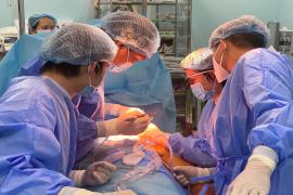 Interventions of urogenital vessels